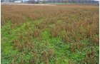 Property photo 17 - 80 Acres & Home - Property Offered in 4 Tracts from 2.3 to 30.0 Acres